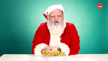 Santa Claus Christmas GIF by BuzzFeed