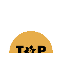 Breast Cancer Ccs Sticker by Canadian Cancer Society