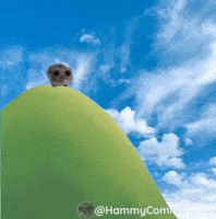 Memecoin Rolling GIF by Sad Hamster