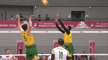 Argentina Point GIF by Volleyball World