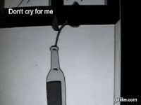 loss GIF