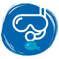 SSDF adventure bubbles dive diving Sticker