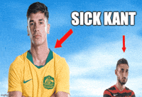 Volpato GIF