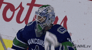 happy ice hockey GIF by NHL