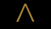 MazingXR logo nft augmentedreality virtualreality GIF