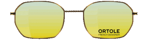 Sunglasses Gold Sticker by Ortolé French Designer