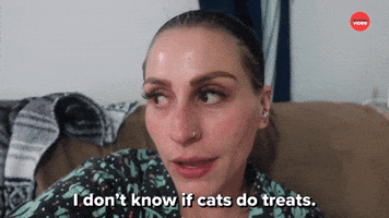 I Don't Know If Cats Do Treats