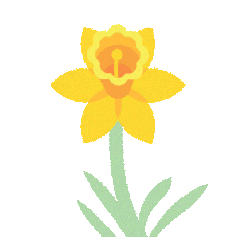 Ccq Sticker by Cancer Council Queensland