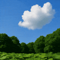 arocell cica ampoule arocell 아로셀 GIF
