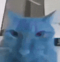 Bleh GIF