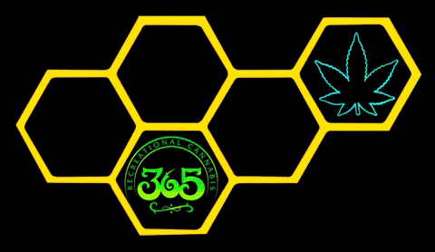 365SantaRosa giphygifmaker cannabis 365 hive GIF