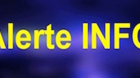 alexandregoldfarb giphygifmaker GIF