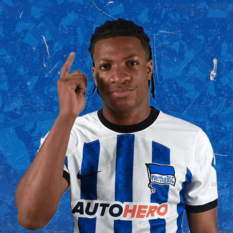 Sport Bundesliga GIF by Hertha BSC
