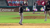 Mexico Baseball GIF by Club Tomateros
