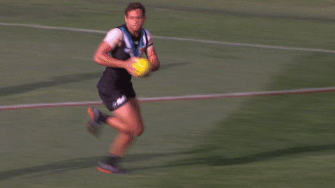 goal crowd GIF by Port Adelaide FC