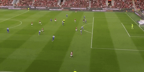 martinaugustin giphyupload GIF