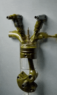 GIF by Alex Boya