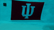 Indiana Hoosiers Iu GIF by Indiana University Bloomington