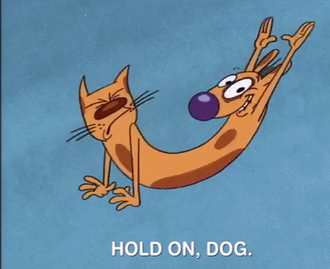 nicksplat GIF