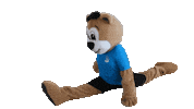 Mascot Gymnastics Sticker by Sportclub Riesa
