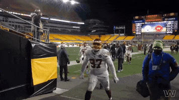 Washington Football Team GIF by Washington Commanders