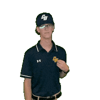 Clarke Golf Sticker by Clarke University