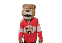 Ice Hockey Sticker by NHL