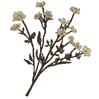 Vintage Flowers Sticker