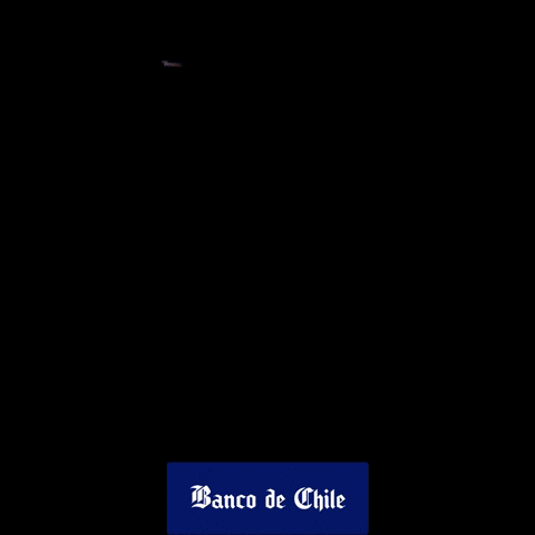 Lollapalooza Lollacl GIF by Banco de  Chile