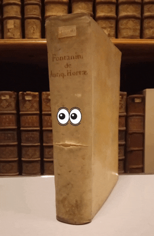 bmiepinal giphygifmaker giphyattribution GIF