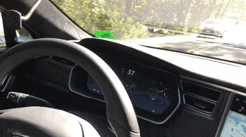 elon musk news GIF