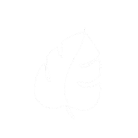 Illustration Plant Sticker