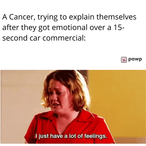 mypawp giphyupload GIF