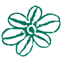 wedding ocean Sticker