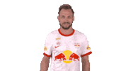 Red Bull Love Sticker by FC Red Bull Salzburg