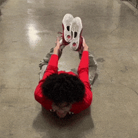 Sea Lion GIF