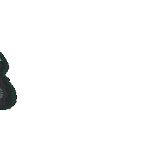 Bird Spin Sticker by TIER Mobility