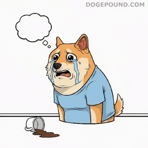 Sad Shiba Inu GIF by Doge Pound