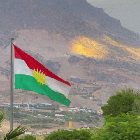Flag Al GIF
