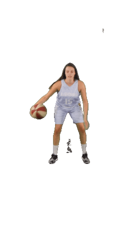 acslsports basketball ball trip ready Sticker