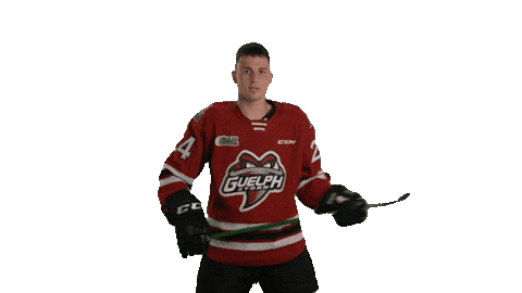 Guelph Sticker by GuelphStormHockey