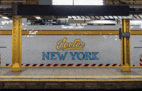 Jeeter GIF by dreamfields