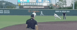 World Series Baseball GIF by NCAA Championships