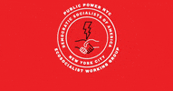 nycDSA dsa nycdsa public power public utilities GIF