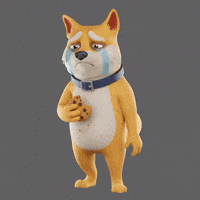 Sad Shiba Inu GIF by Doge Pound