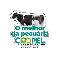 Agro Vaca Sticker by Coopel Agronegócios
