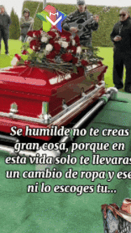 Amigos No Te Creas GIF by Murcianys LLC