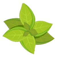 Herbs Basil Sticker by Van Vugt Kruiden