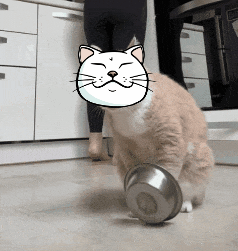 Hungry Cat GIF by ShiroNeko
