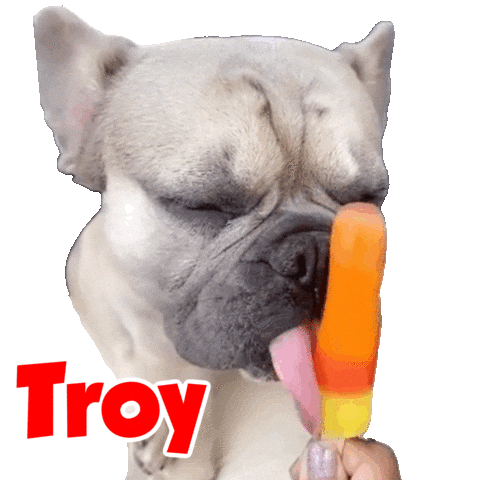 French Bulldog Sticker by Pimp Yo Pets